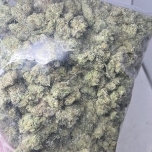 GOLIATH GLUE (EXOTIC SATIVA DEAL) - Image 6